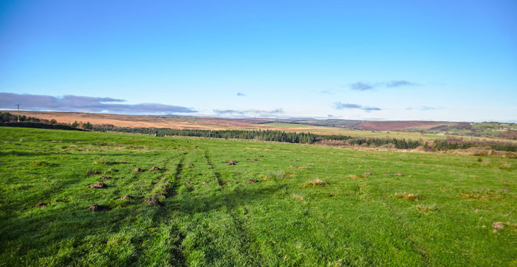 Farm Visit 1123 1 1 (1)